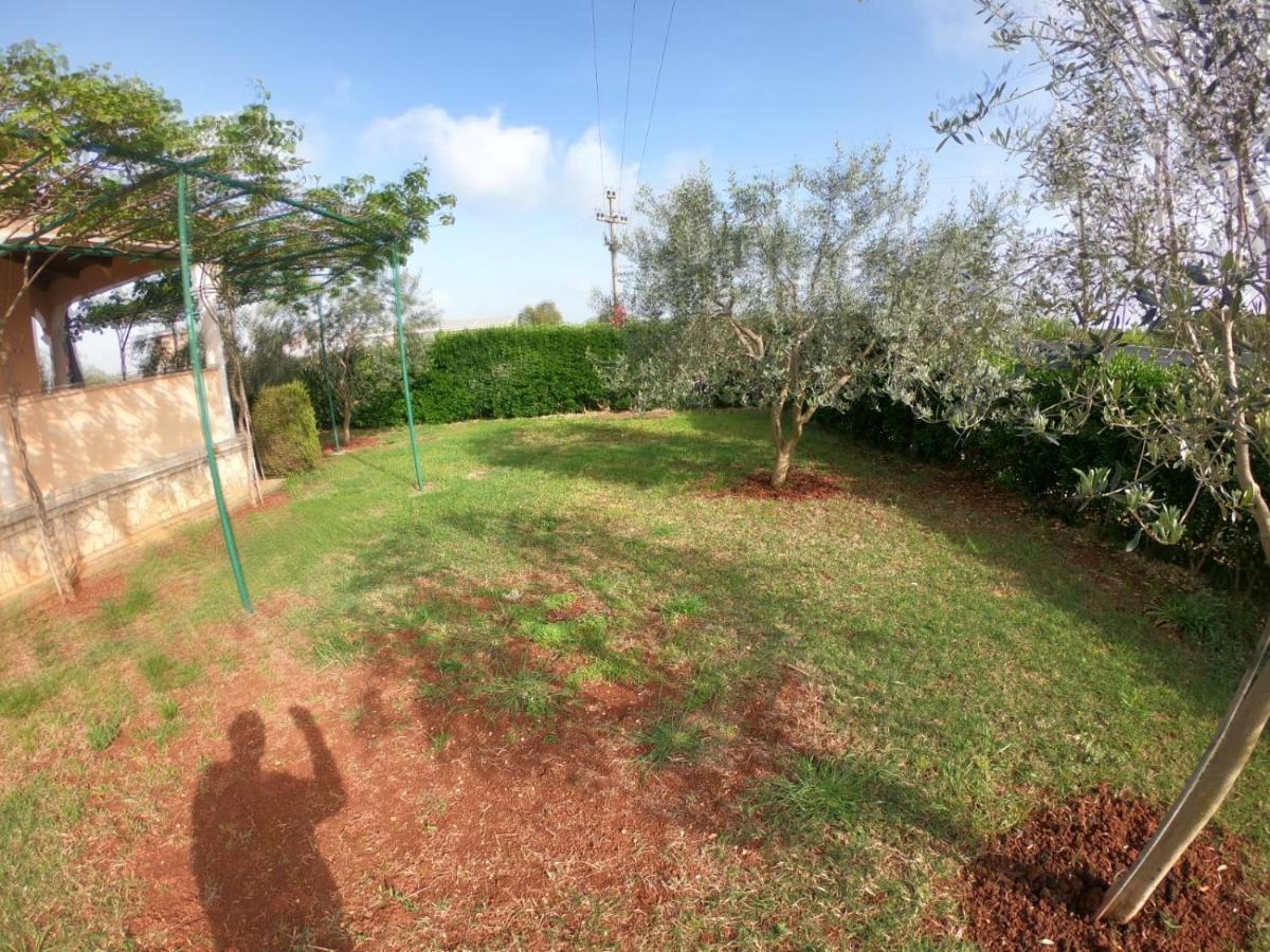 Spacious Apartment With Parking&Garden Marčana 外观 照片