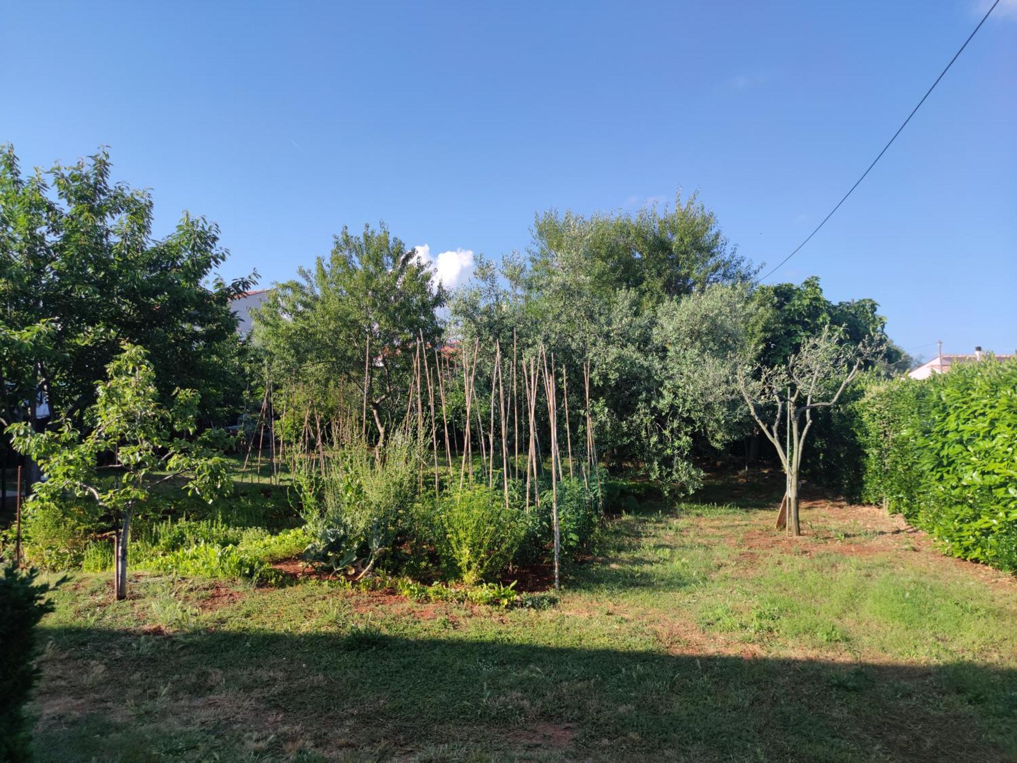 Spacious Apartment With Parking&Garden Marčana 客房 照片